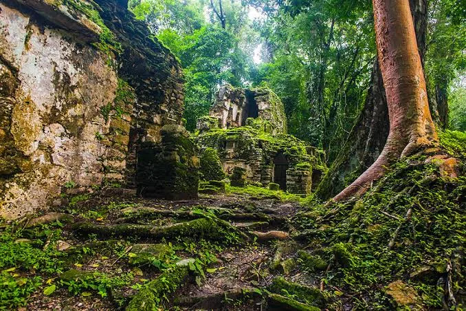 An overgrown Maya ruin in the Lacandón jungle