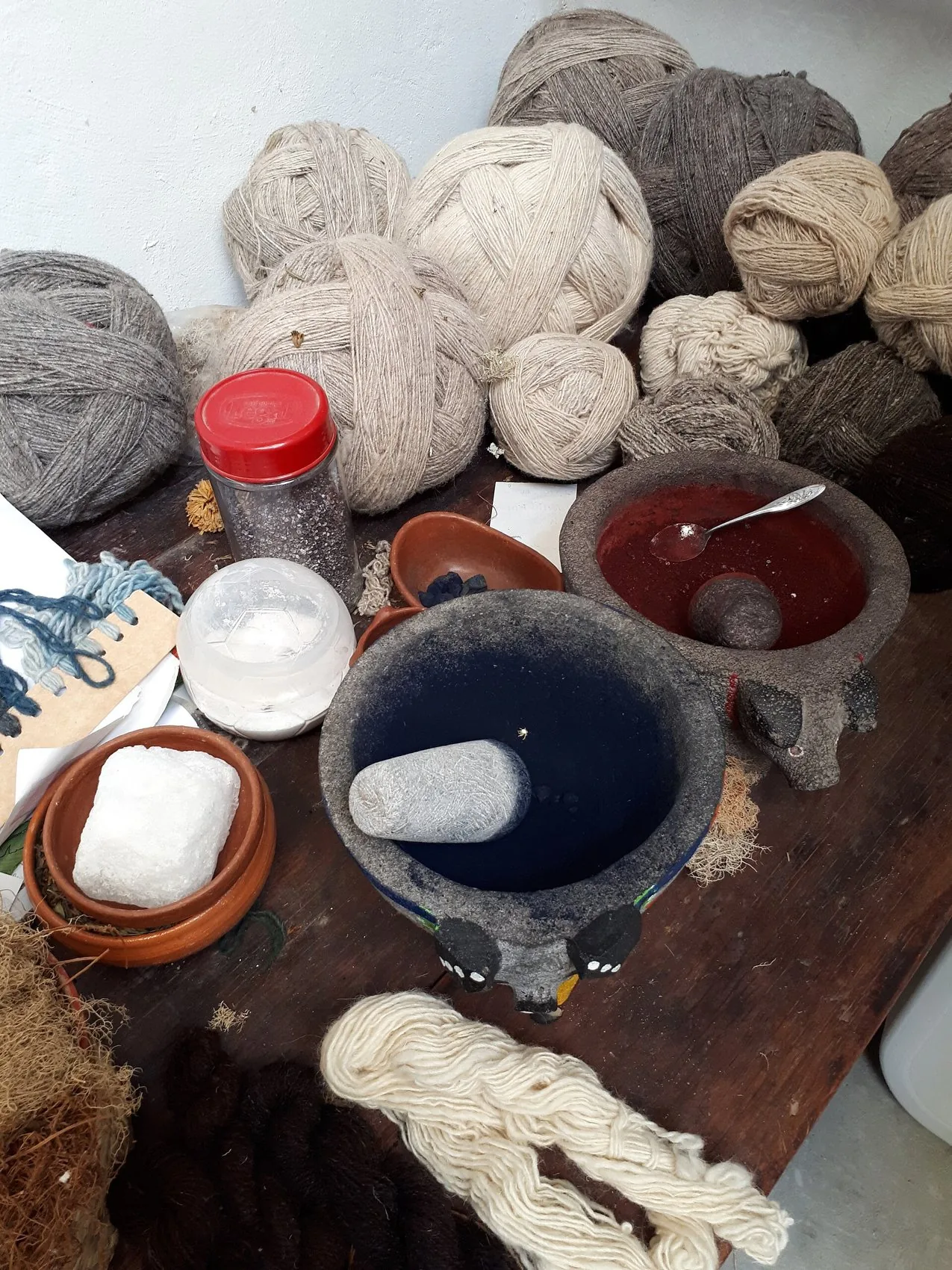 Cochineal, indigo and wild plant dyes